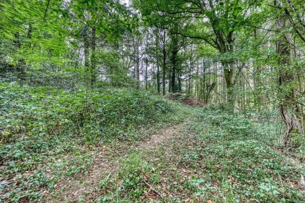 Cottage for 4 people in Erezée Au Chalet de Mélines